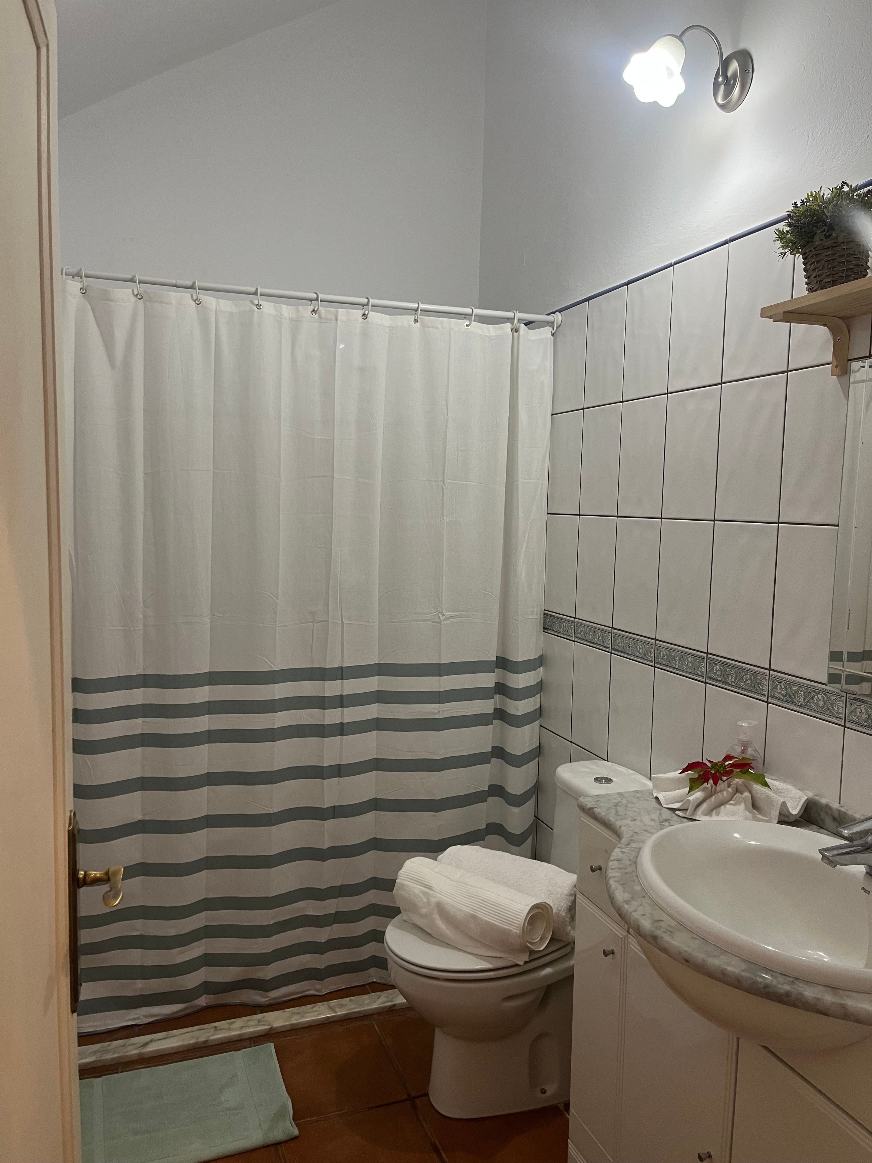 Une salle de bain avec un rideau de douche, des toilettes, un lavabo et un miroir agrémenté d’une plante.
