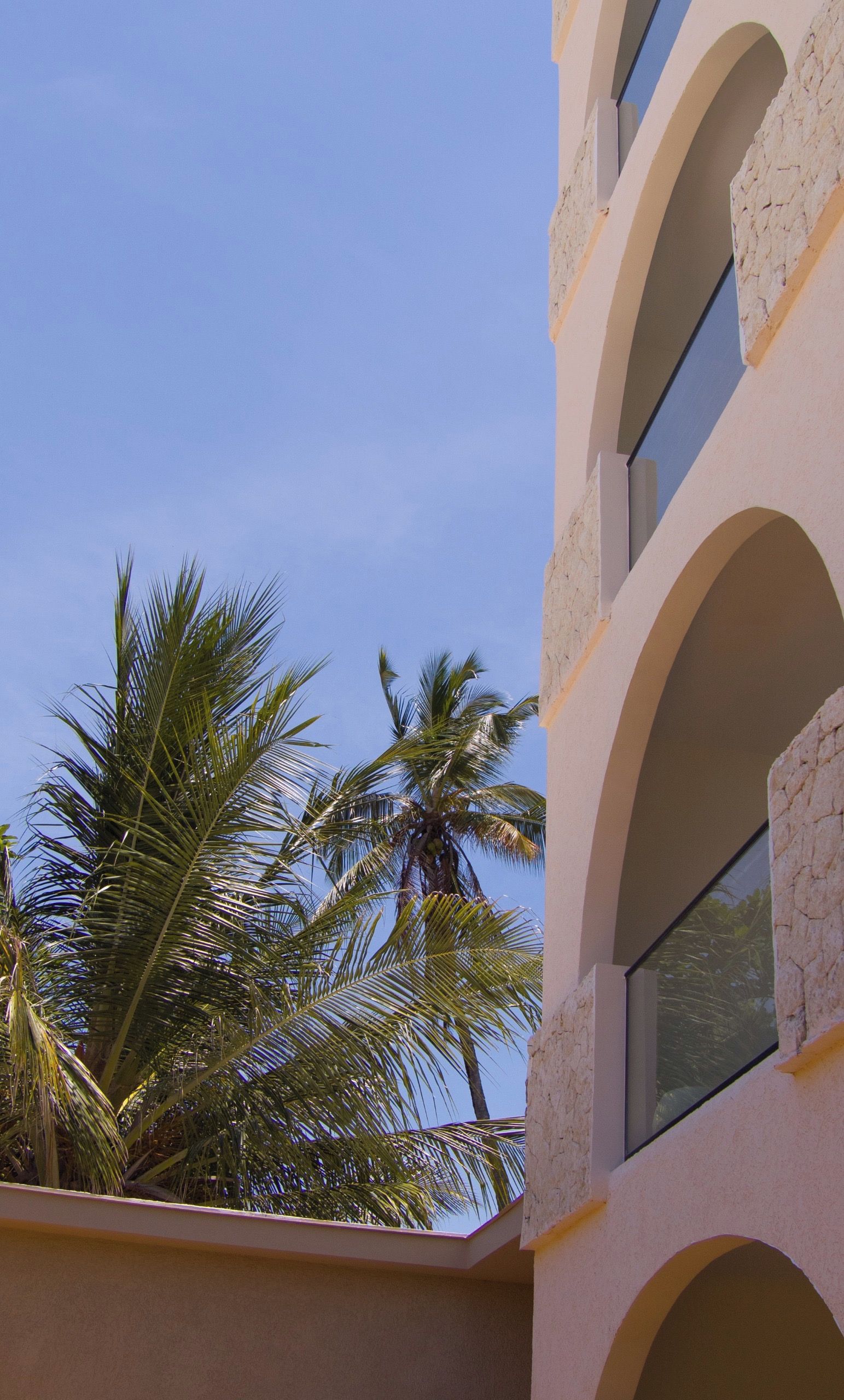 A building with multiple windows and a palm tree in the background.