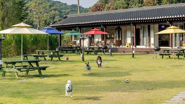 Área externa com mesas de piquenique e guarda-sóis, um edifício com telhado de azulejos e um campo gramado.