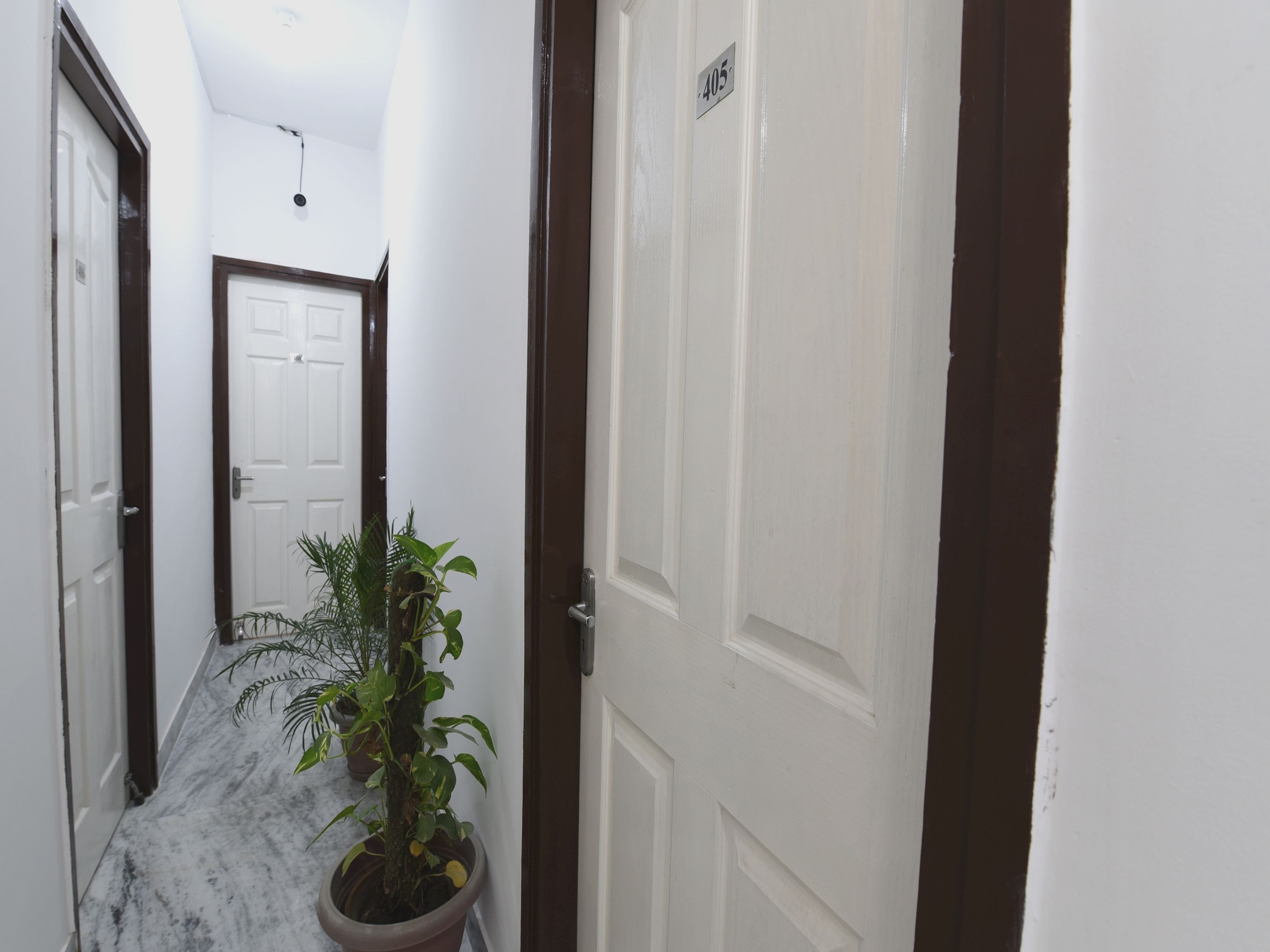 Corredor com planta em vaso, porta branca e placa de número.
