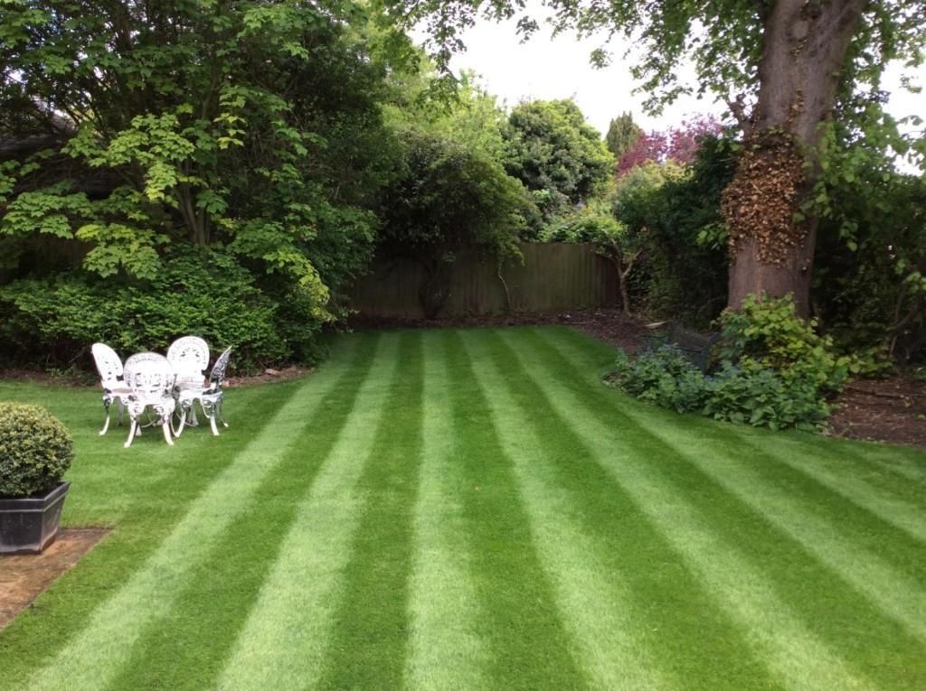 A well-maintained lawn with a wooden fence and a variety of trees and shrubs.