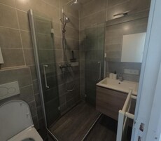 Un baño moderno con ducha acristalada, un lavabo blanco y un espejo encima.