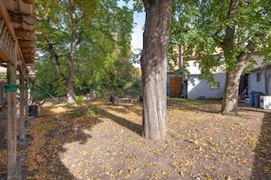 Een binnentuin met bomen, een houten pergola en een gebouw op de achtergrond.