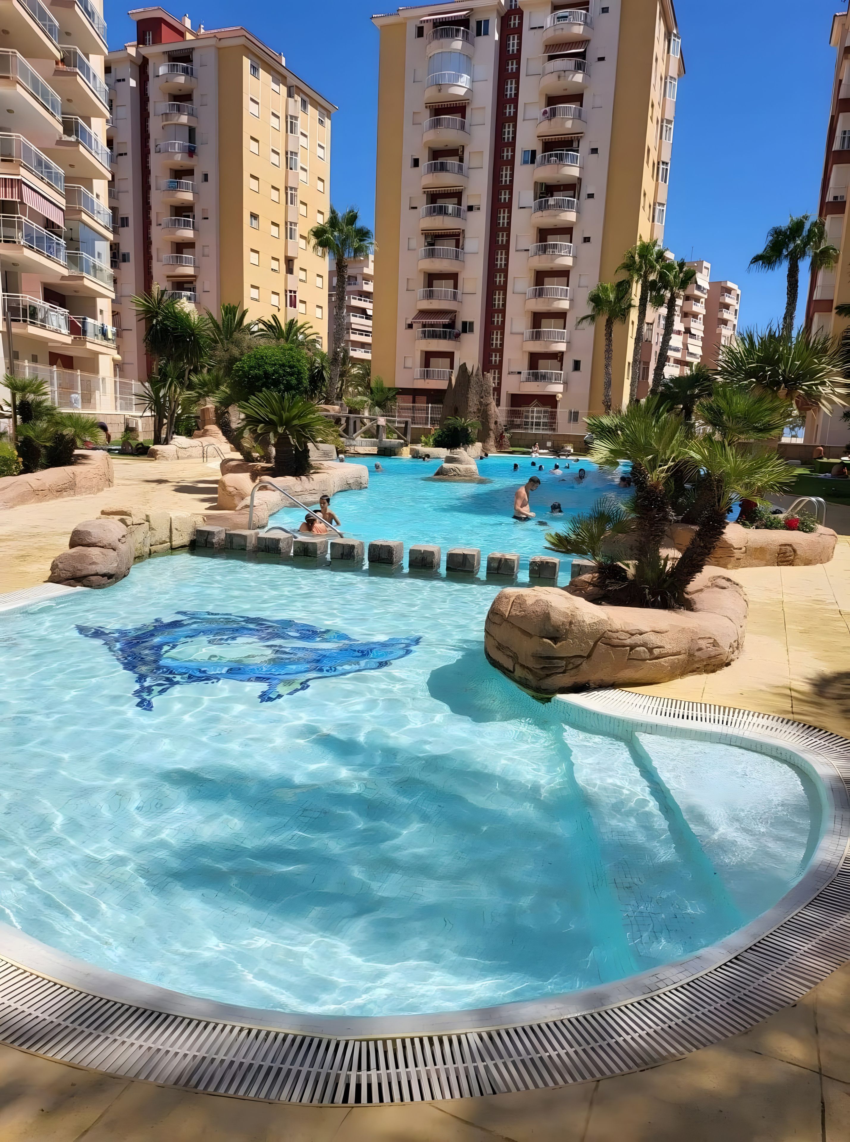 Ein Schwimmbecken mit Delphin-Motiv, umgeben von Palmen und einem mehrstöckigen Gebäude.
