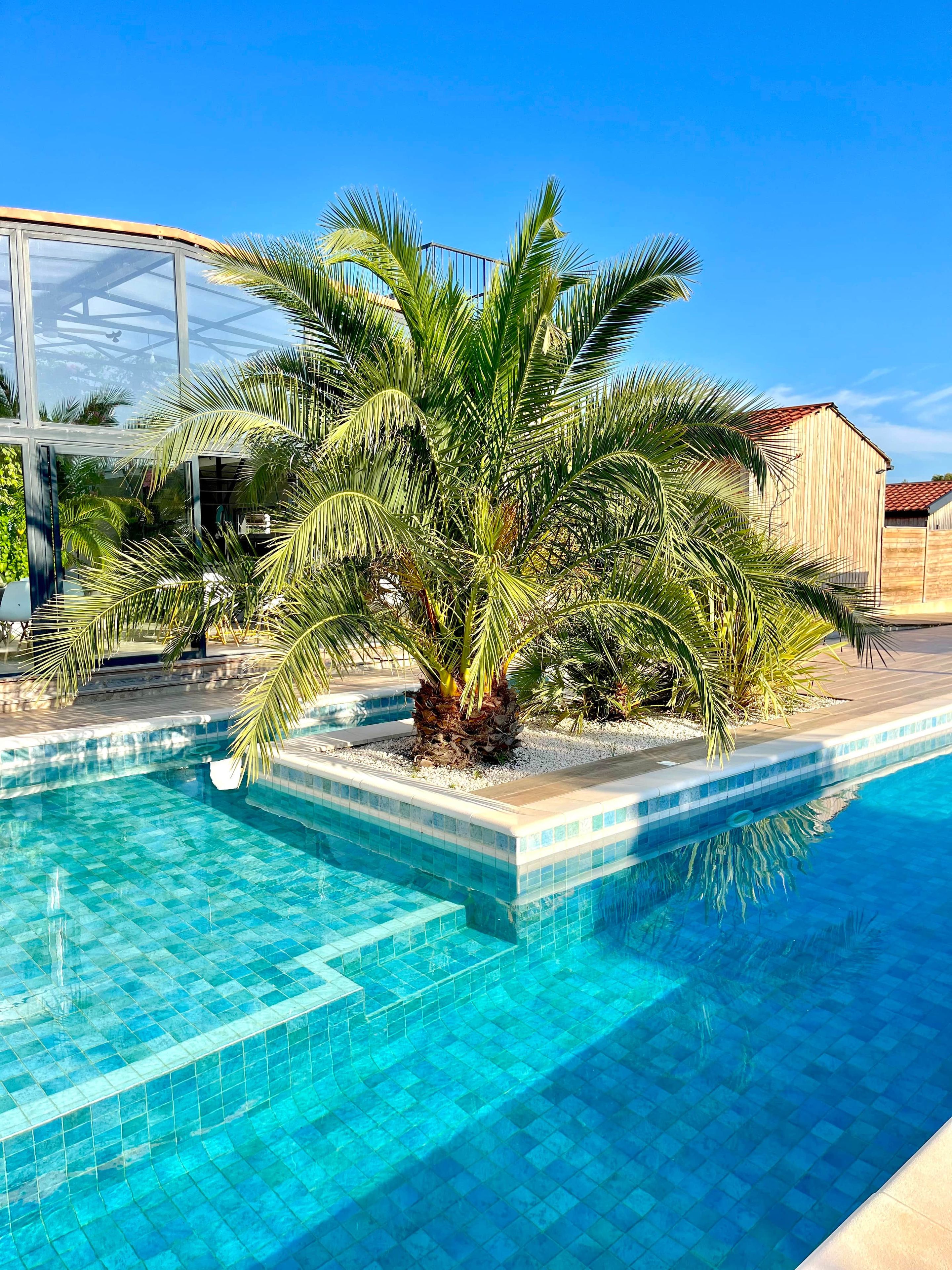 A swimming pool with clear blue water, surrounded by palm trees and a wooden building.