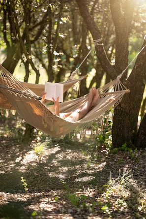 A hammock suspended between trees in a forested area.