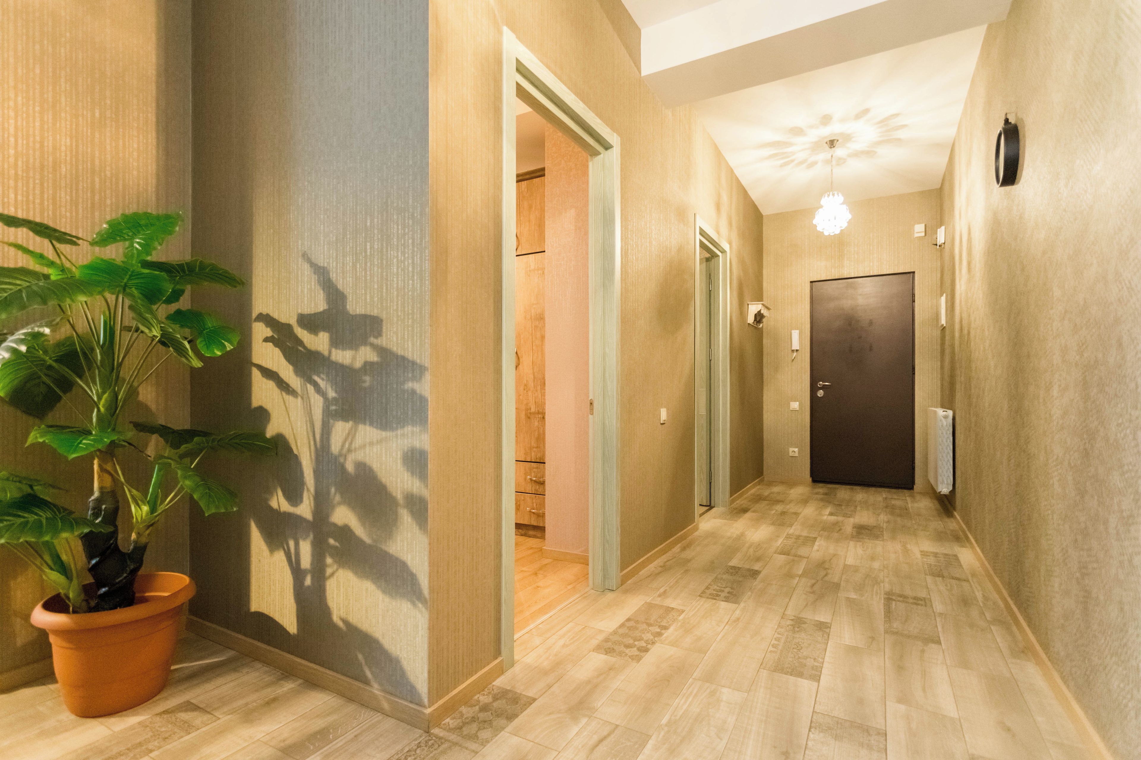 A hallway with a potted plant, wooden flooring, and a door at the end.