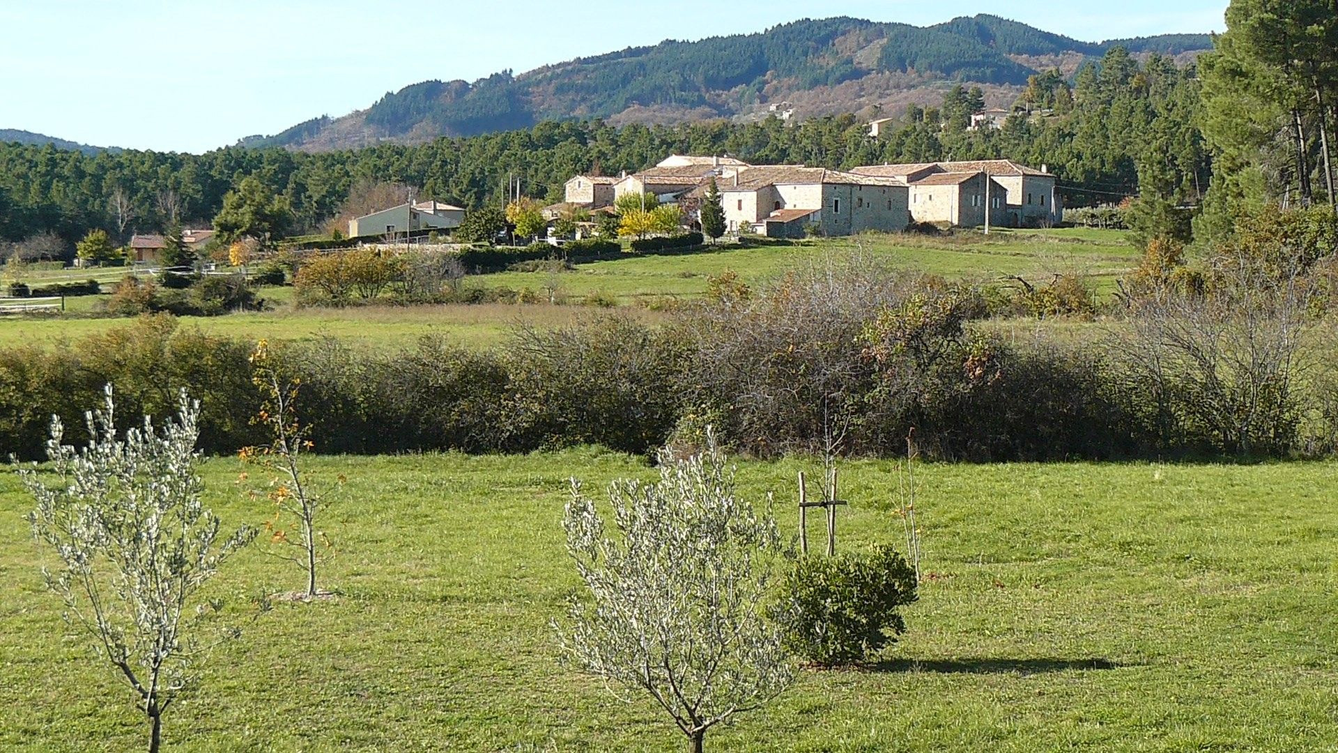Ländliche Landschaft mit einer Ansammlung von Steinhäusern, umgeben von grünen Feldern und Bäumen.