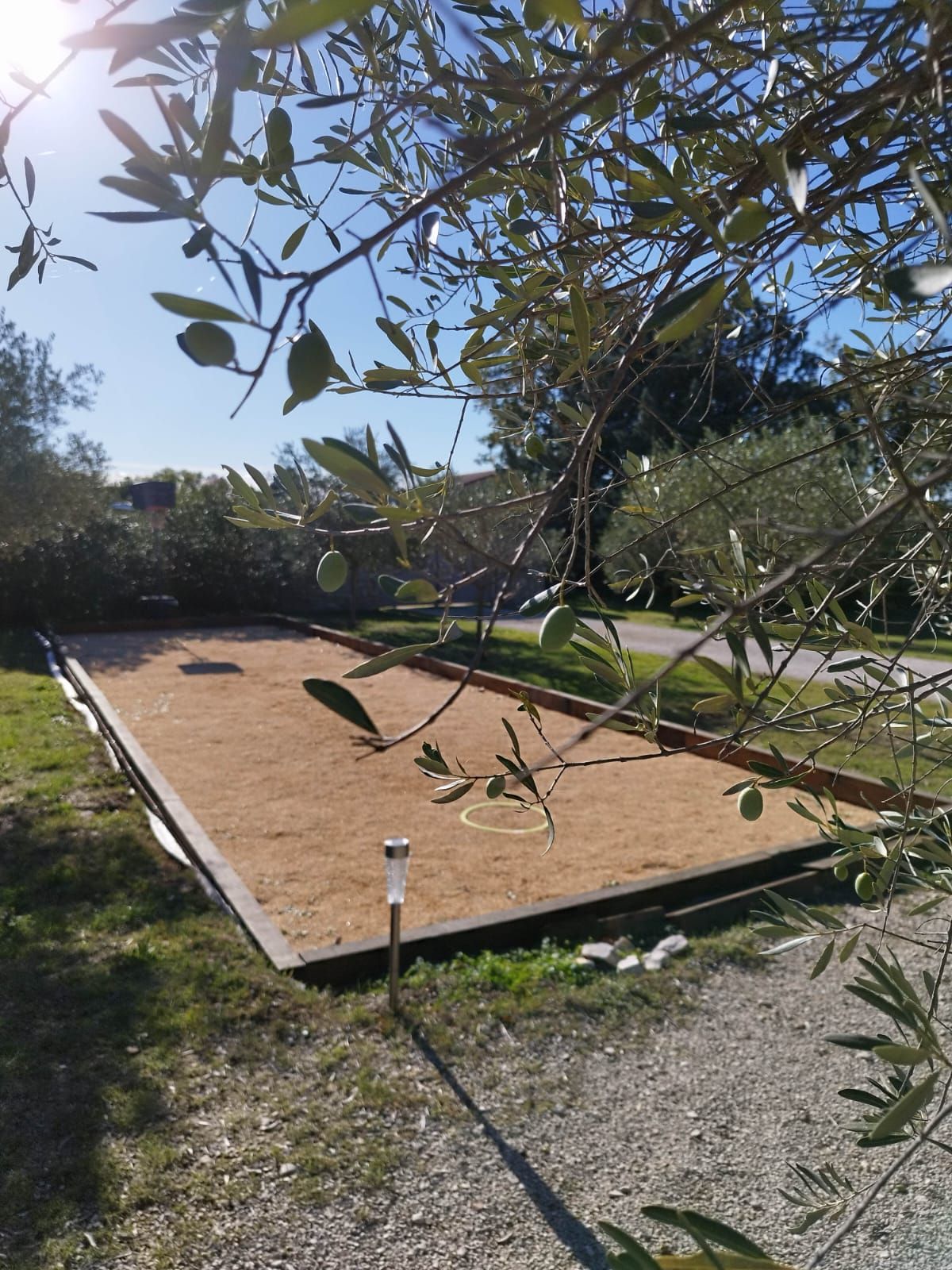 An outdoor area with a dirt surface, surrounded by greenery and trees.