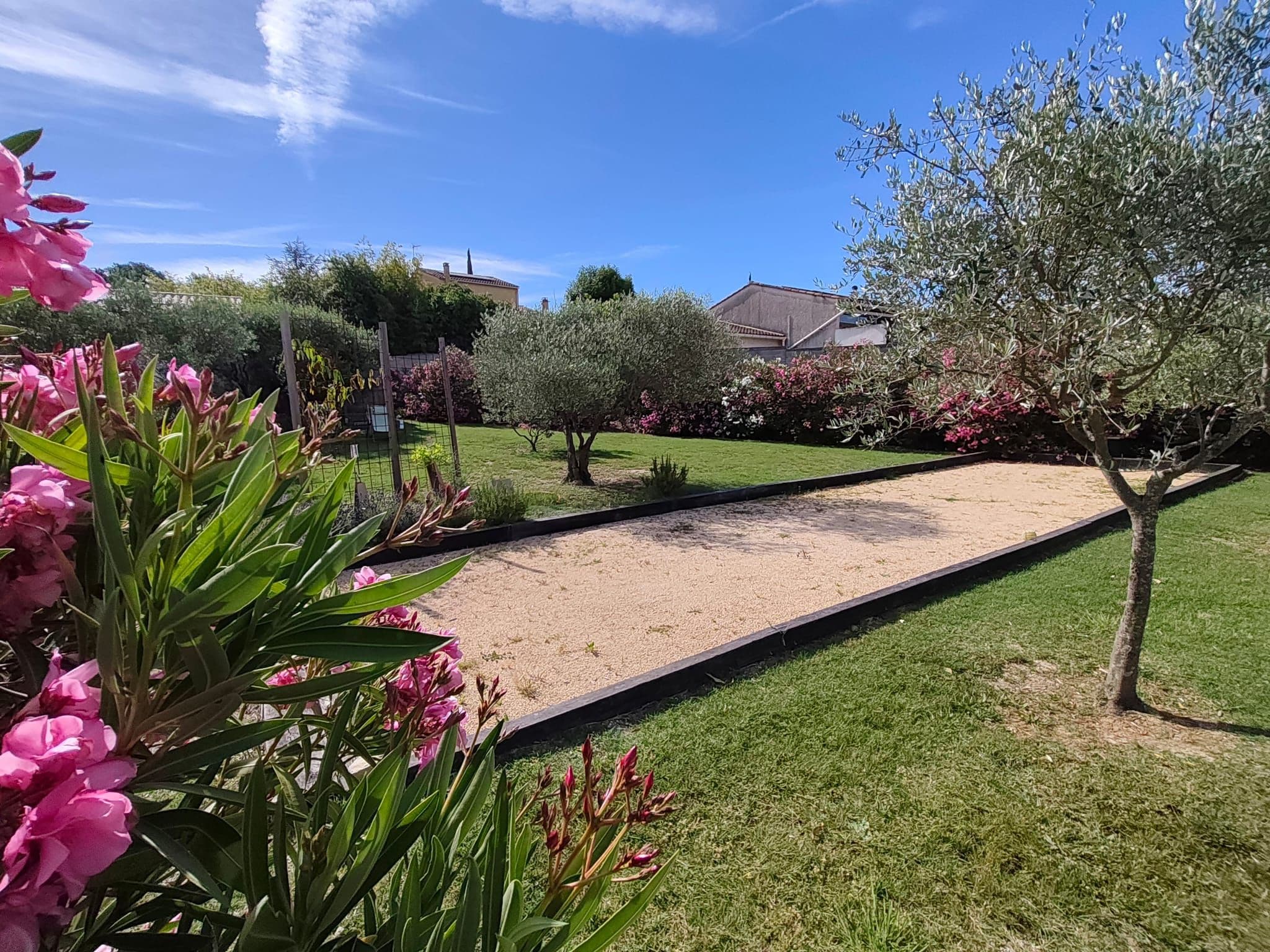 A garden with a variety of plants, a lawn, and a pathway.