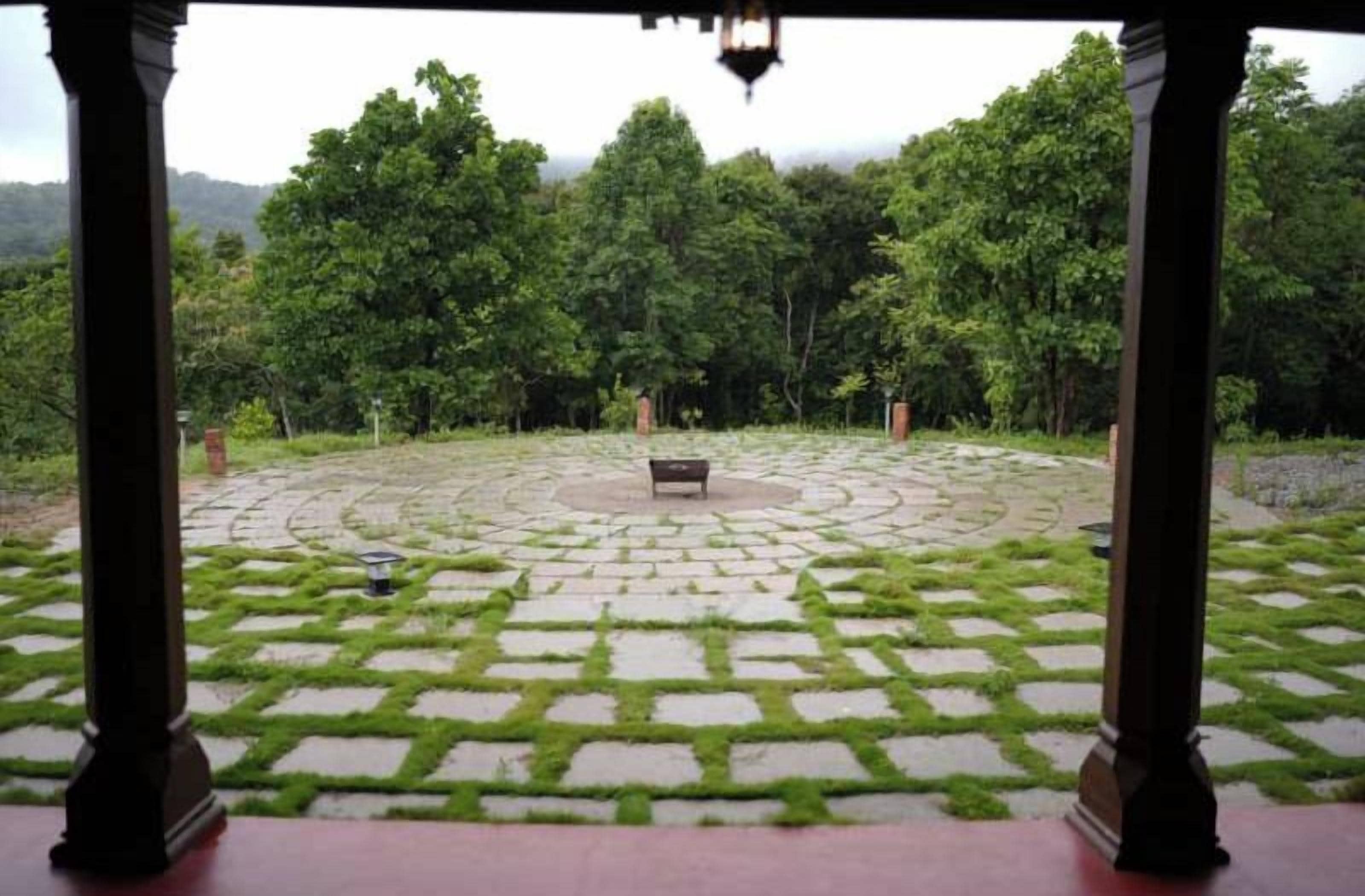 Garden view