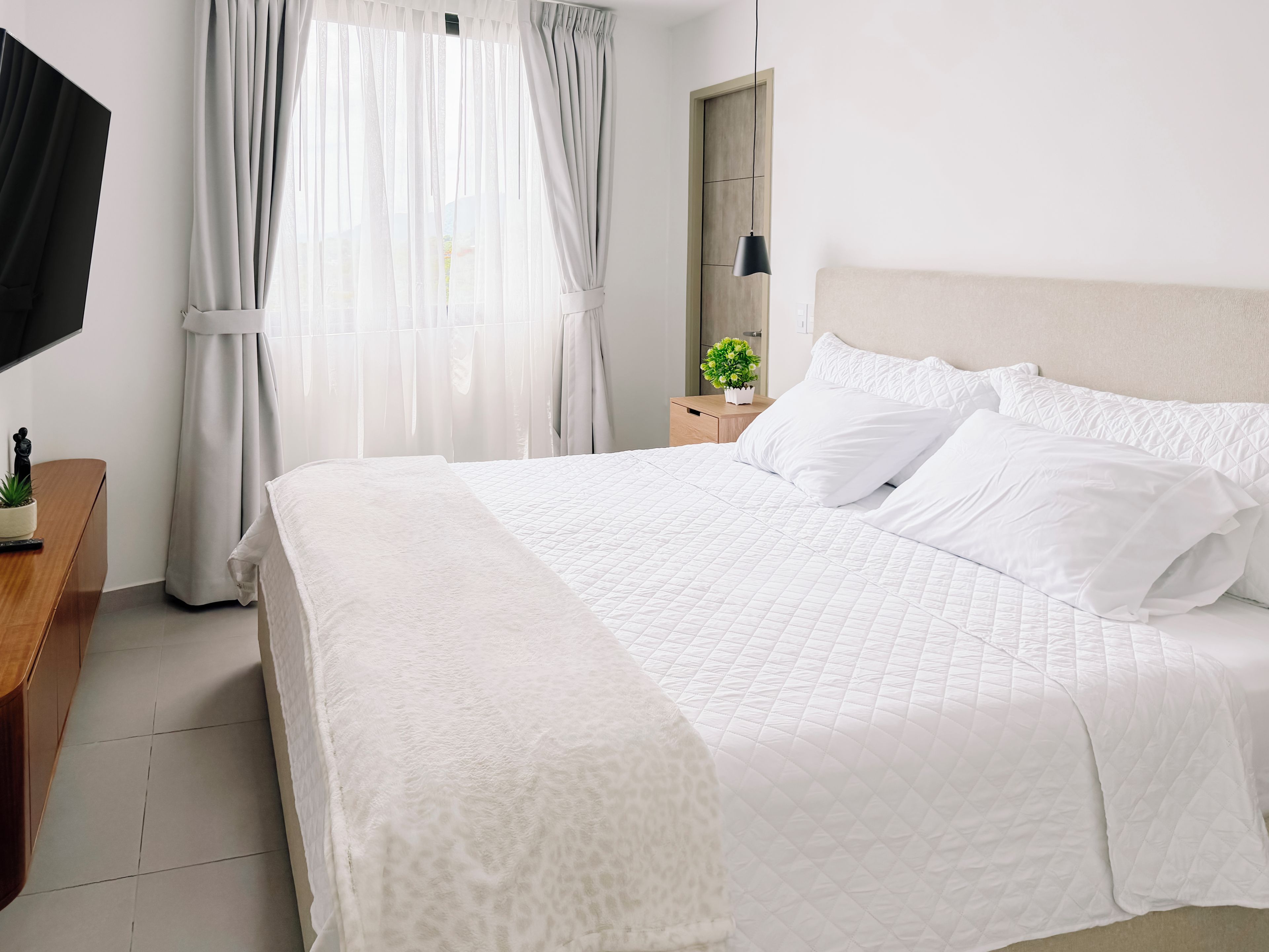 A neatly made bed with white bedding, a bedside table with a plant, and a wall-mounted TV.