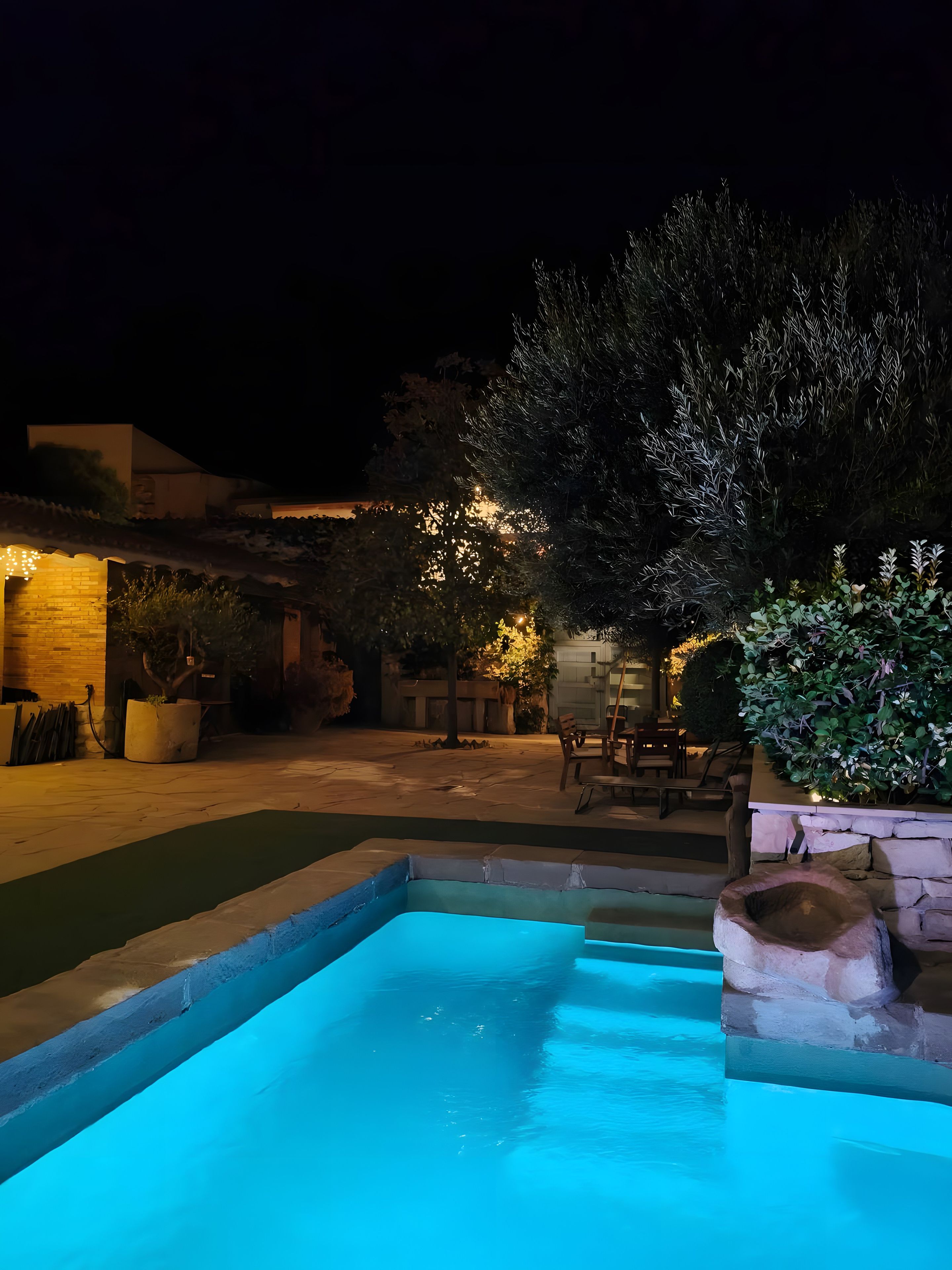 Zona de piscina exterior de noche con borde de piedra, rodeada de plantas en macetas y un patio con mobiliario de exterior.