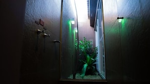 A narrow hallway with a mirror reflecting a plant and a door.