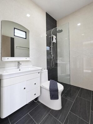 Un baño moderno con ducha envuelta en vidrio, un lavamanos blanco y un inodoro.