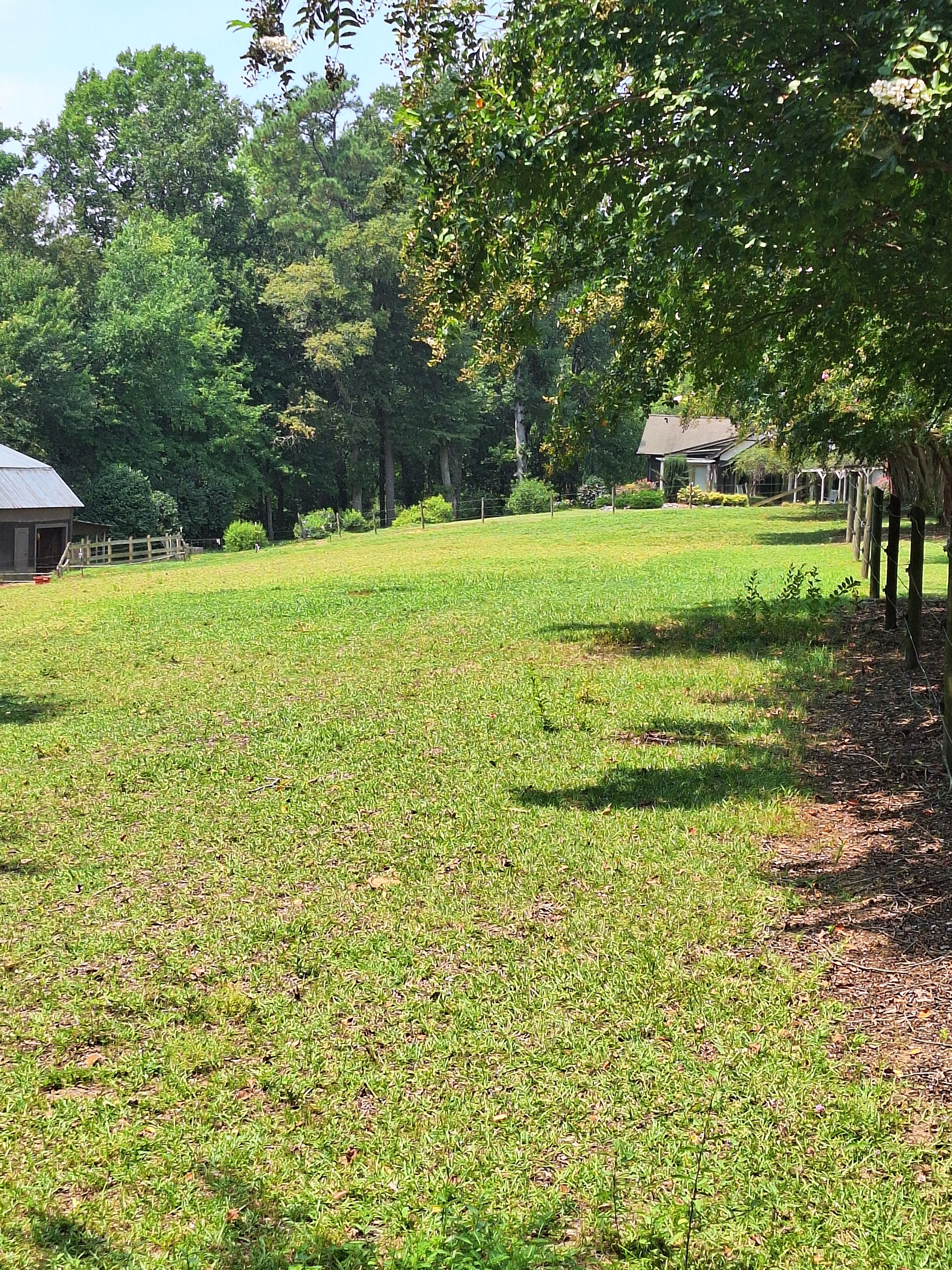 A grassy field with a building and trees in the background.