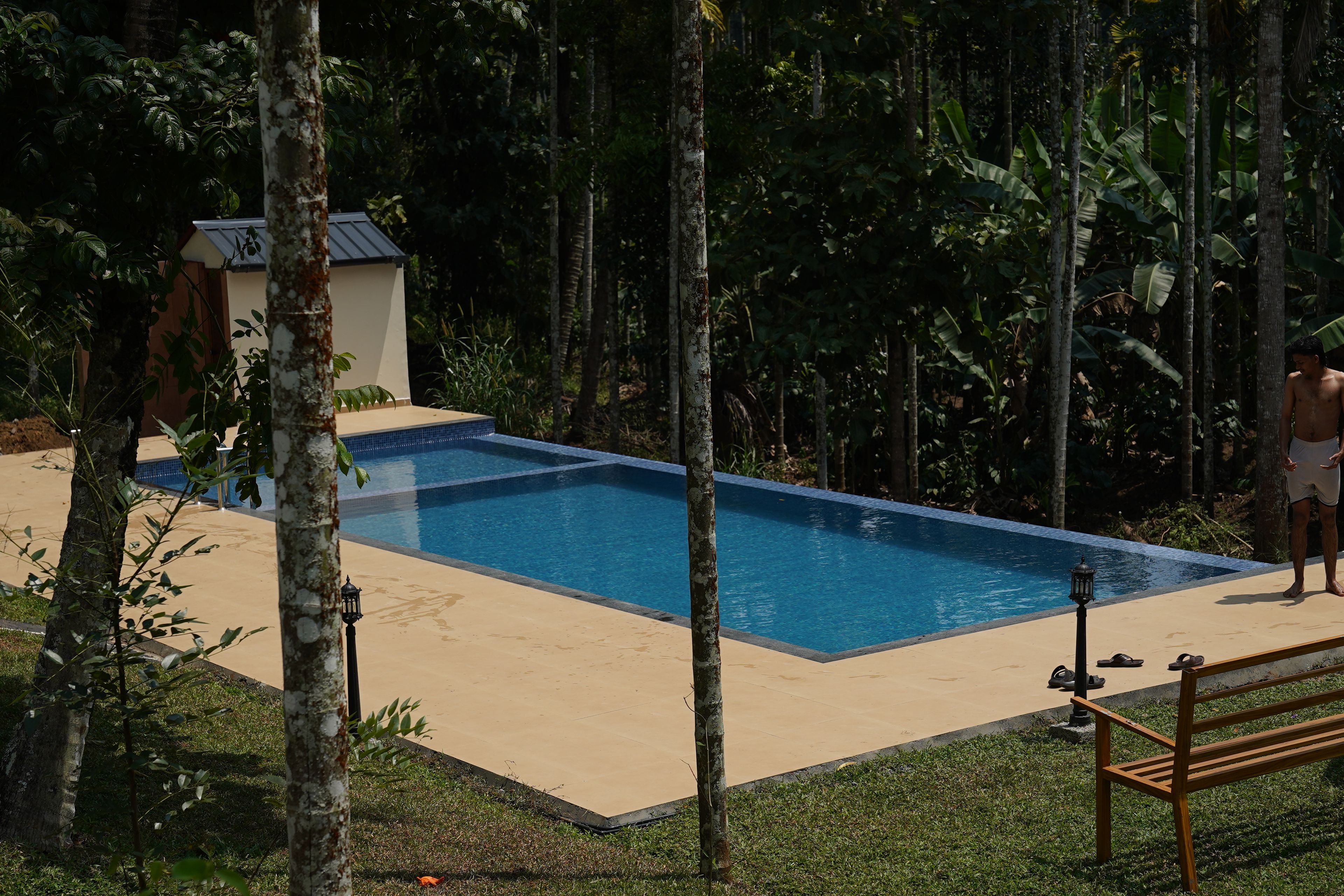 Una piscina rectangular con borde de azulejos, rodeada por un suelo de arena y abundante vegetación.