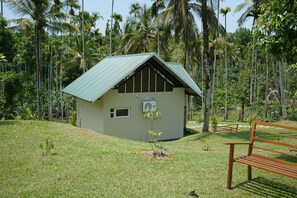 Um pequeno edifício térreo com telhado inclinado, rodeado por uma paisagem tropical exuberante.