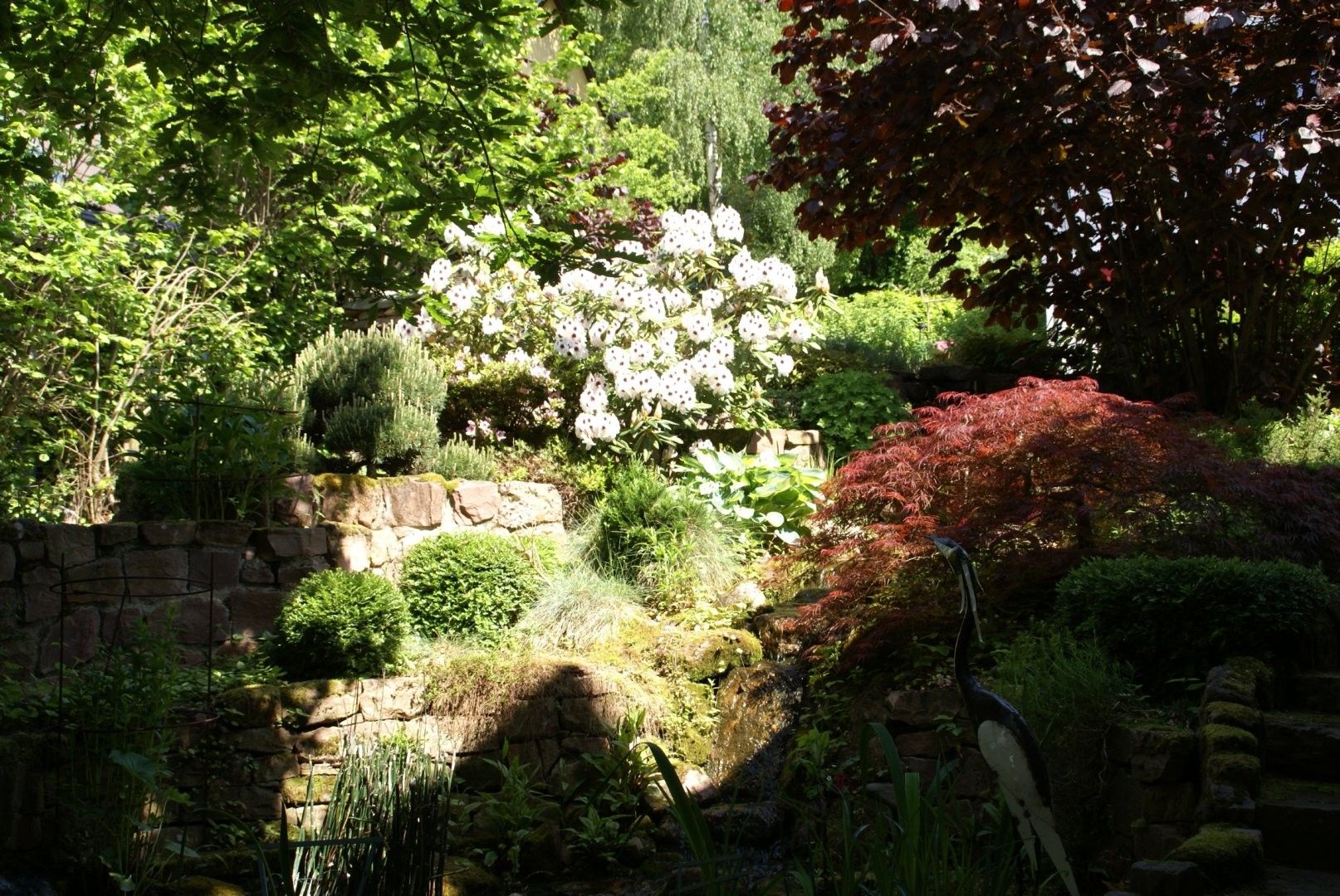 Ein Garten mit verschiedenen Pflanzen und einer Steinmauer.