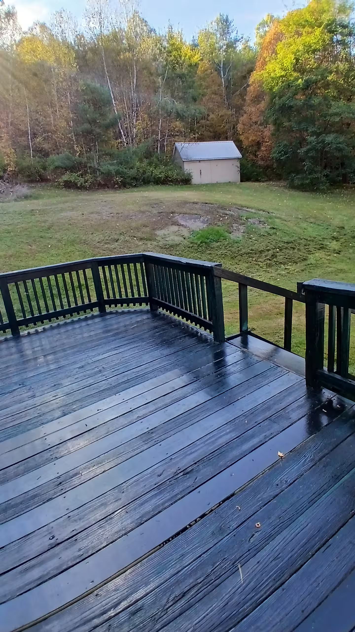 A wooden deck with a railing, surrounded by a grassy area and trees.
