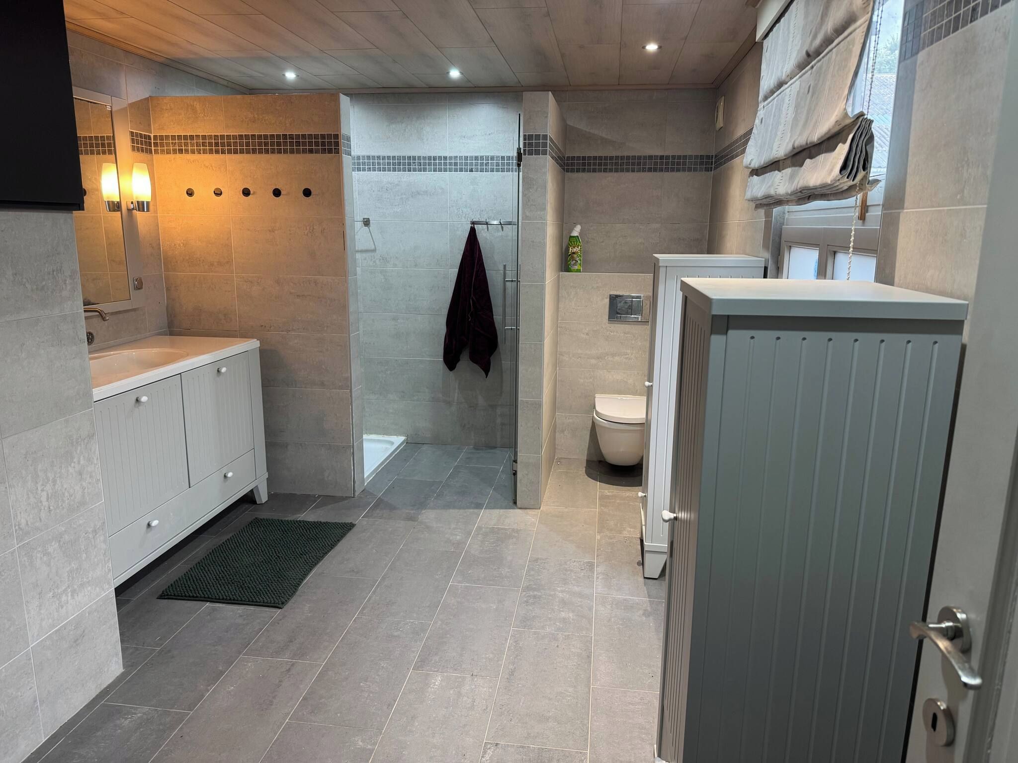 A modern bathroom with a shower, toilet, and vanity.