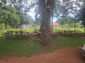 Un espace extérieur avec des tables de pique-nique et un grand arbre.