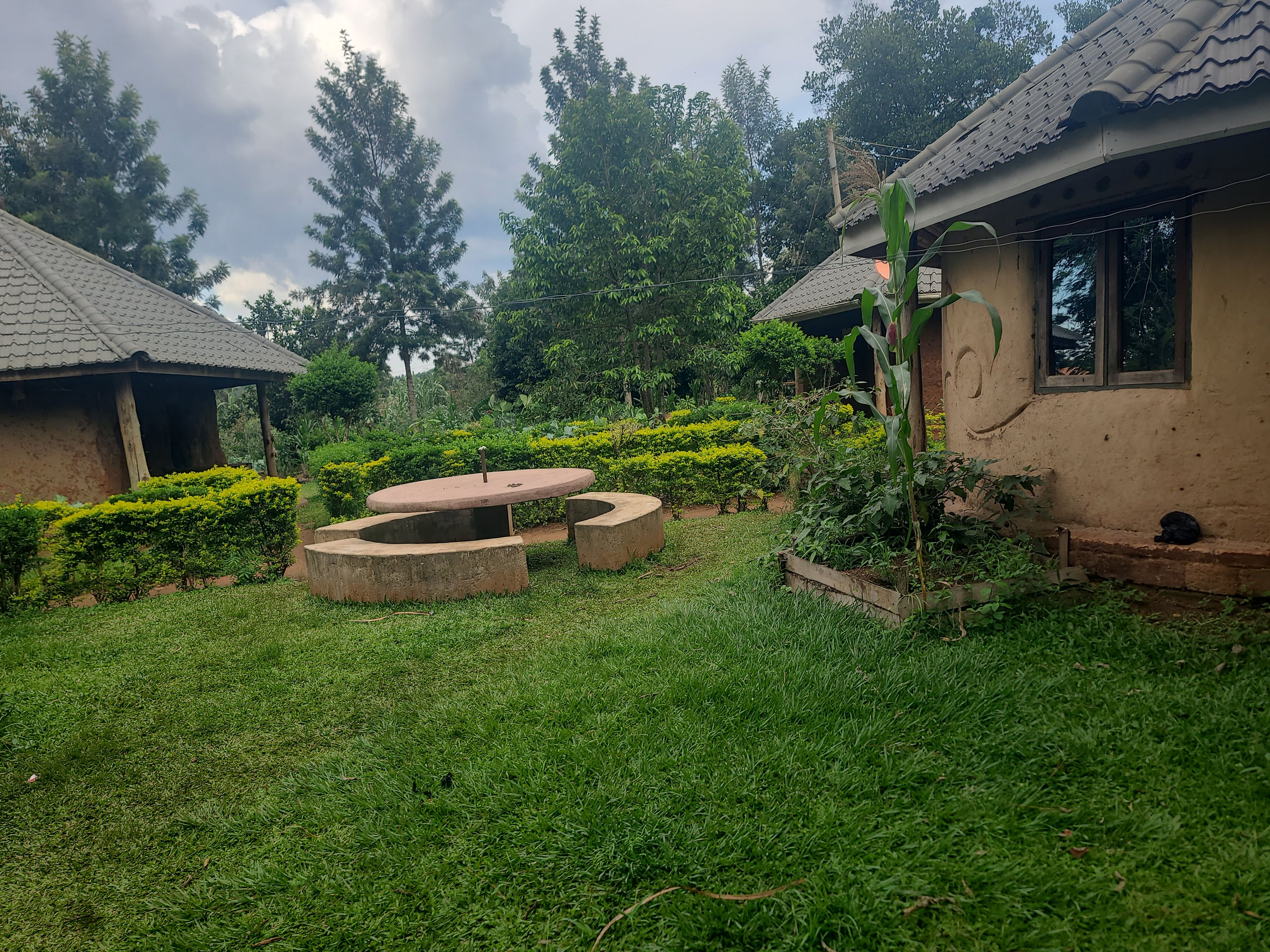 Um pátio com um banco de pedra, um pequeno jardim com arbustos aparados e um edifício com telhado de telhas.