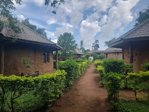 Un sentier rural bordé de maisons traditionnelles aux toits de chaume, entouré d’une végétation luxuriante.