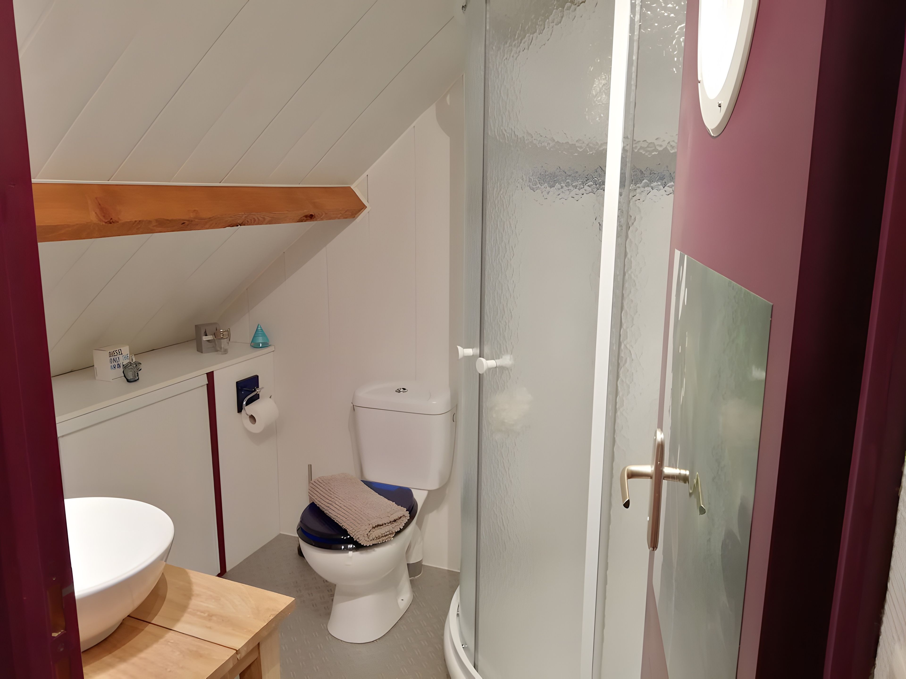 A bathroom with a white toilet, a sink, and a shower enclosure.