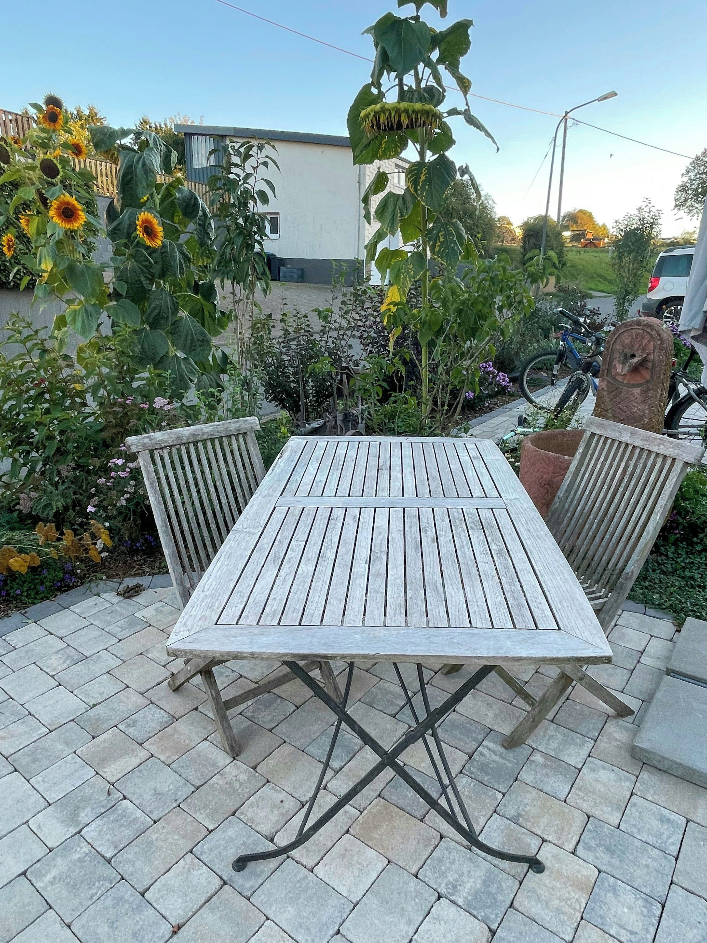 Una mesa de madera con patas metálicas, rodeada por un jardín con diversas plantas y flores.