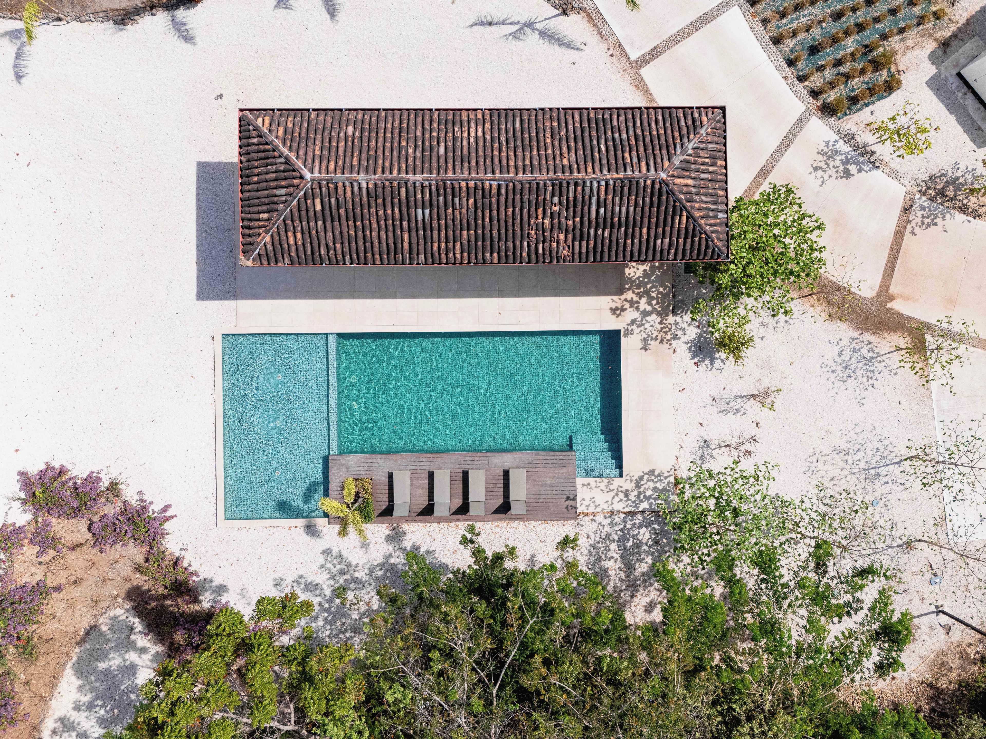Une terrasse sur le toit avec une piscine et une plateforme en bois.