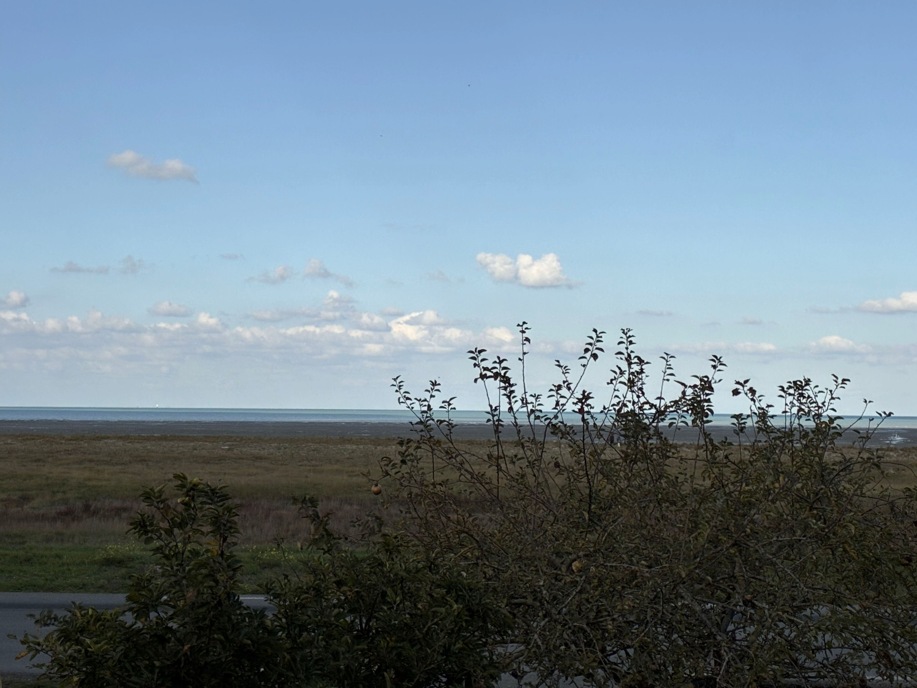 Un paysage côtier avec un ciel dégagé, une végétation au premier plan et un horizon plat.