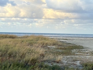 Un paisaje costero con dunas y vista al mar bajo un cielo nublado.