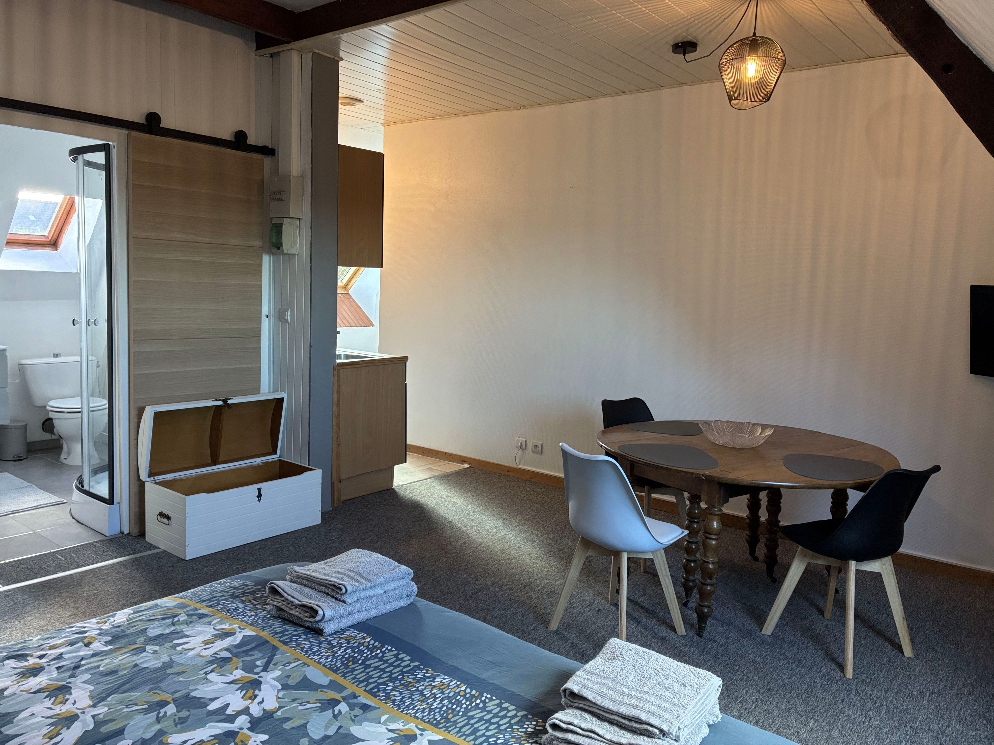 Un intérieur moderne comprenant un coin repas, un canapé et une douche en verre.