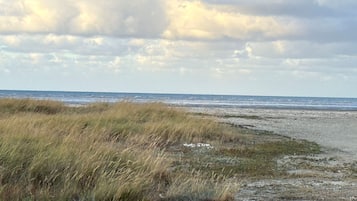 Eine Küstenlandschaft mit Dünen und Blick auf das Meer unter bewölktem Himmel.