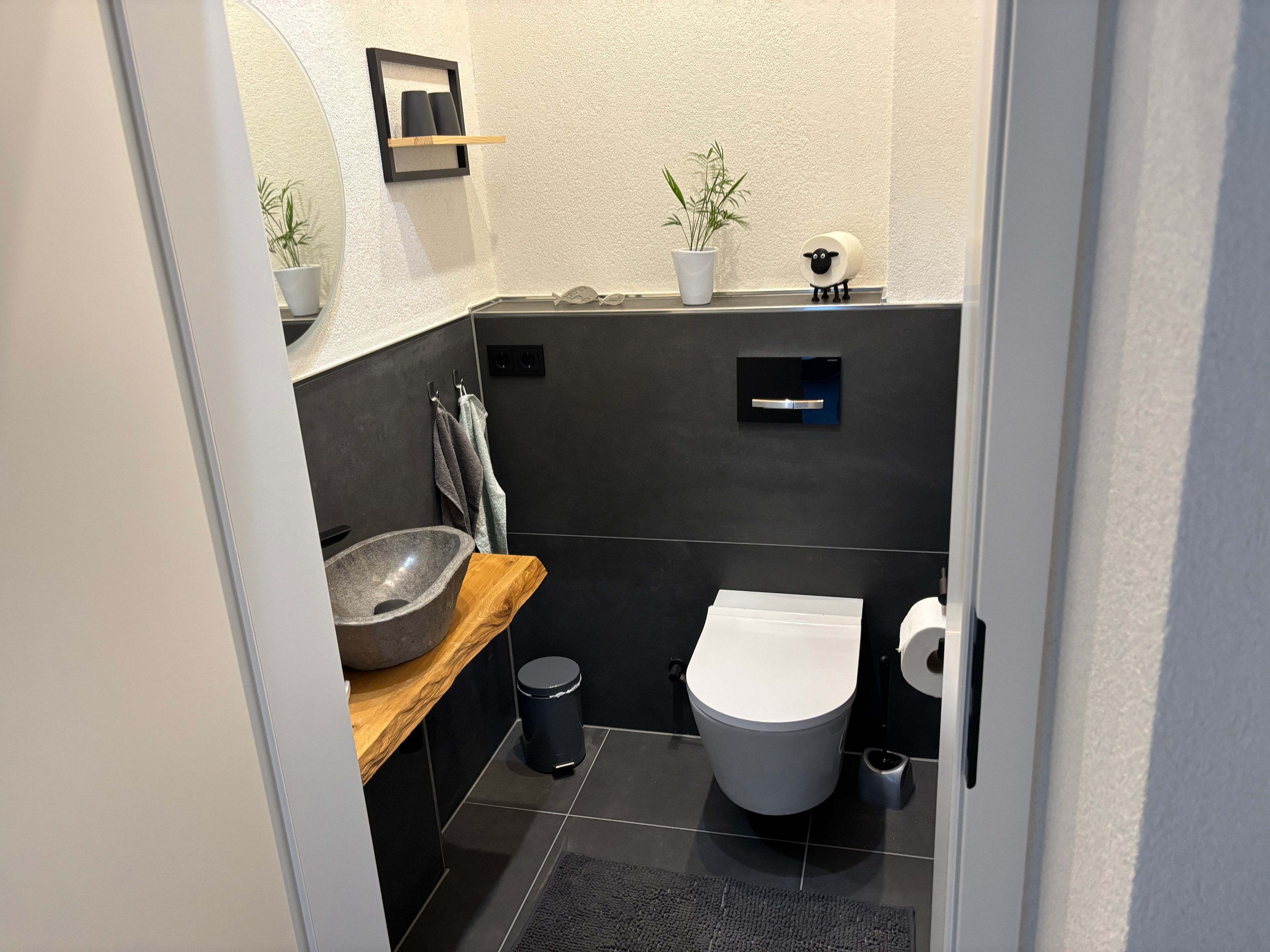 A modern bathroom with a stone sink, a toilet, and a small plant on the wall.