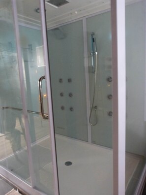 Un espace douche fermé par des parois de verre, équipé d’un pommeau de douche à main et d’un pommeau de douche fixe.