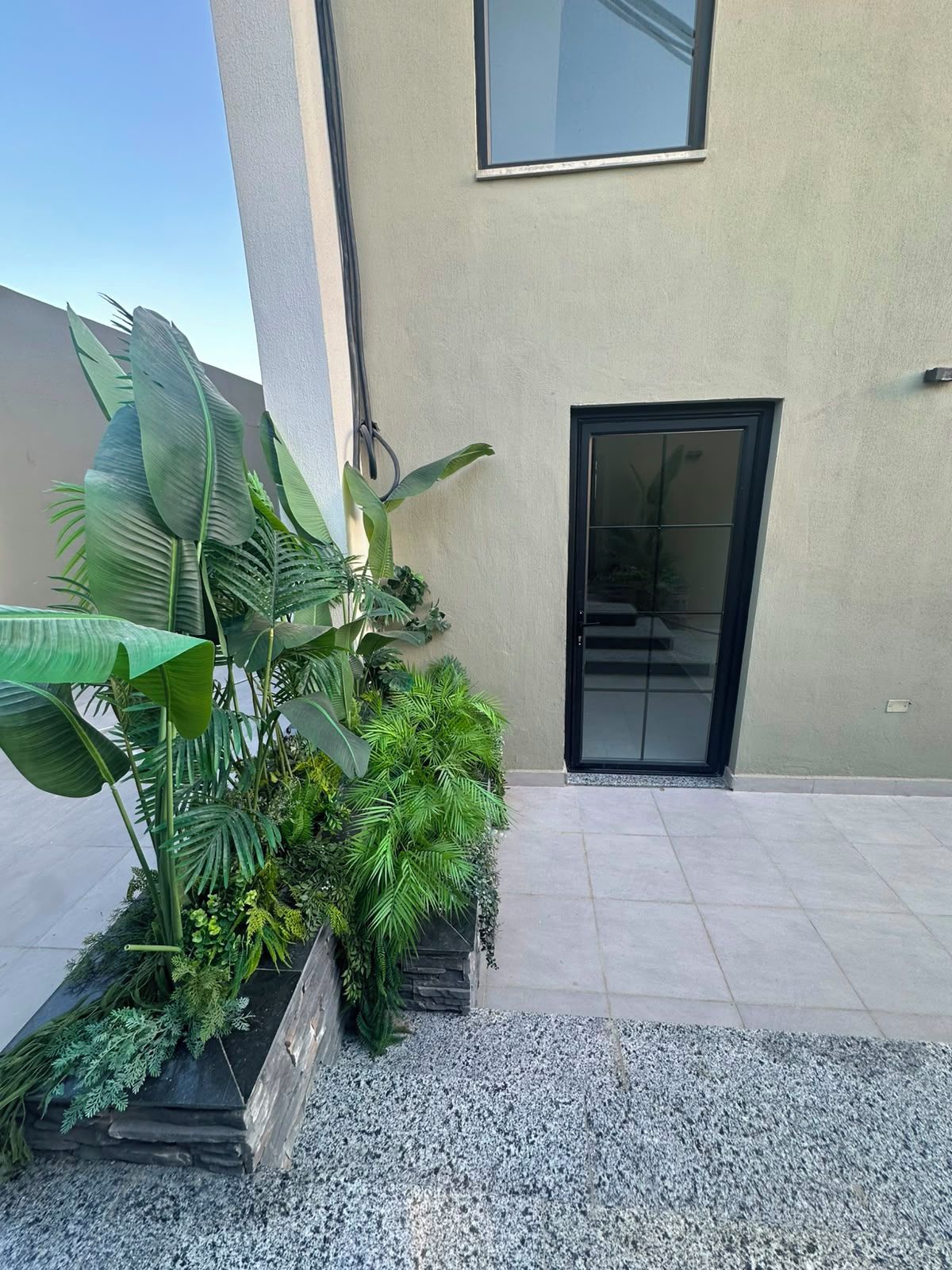A modern building with a glass door entrance, a concrete floor, and a variety of green plants in a planter.