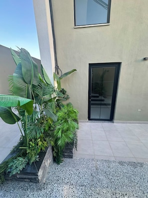 Un bâtiment moderne doté d’une entrée avec une porte en verre, d’un sol en béton et de différentes plantes vertes disposées dans un jardinière.