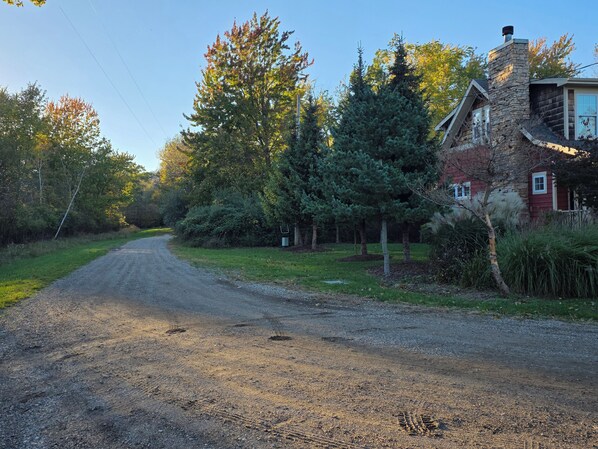 A rural road leading to a house with a stone chimney, surrounded by trees and greenery.