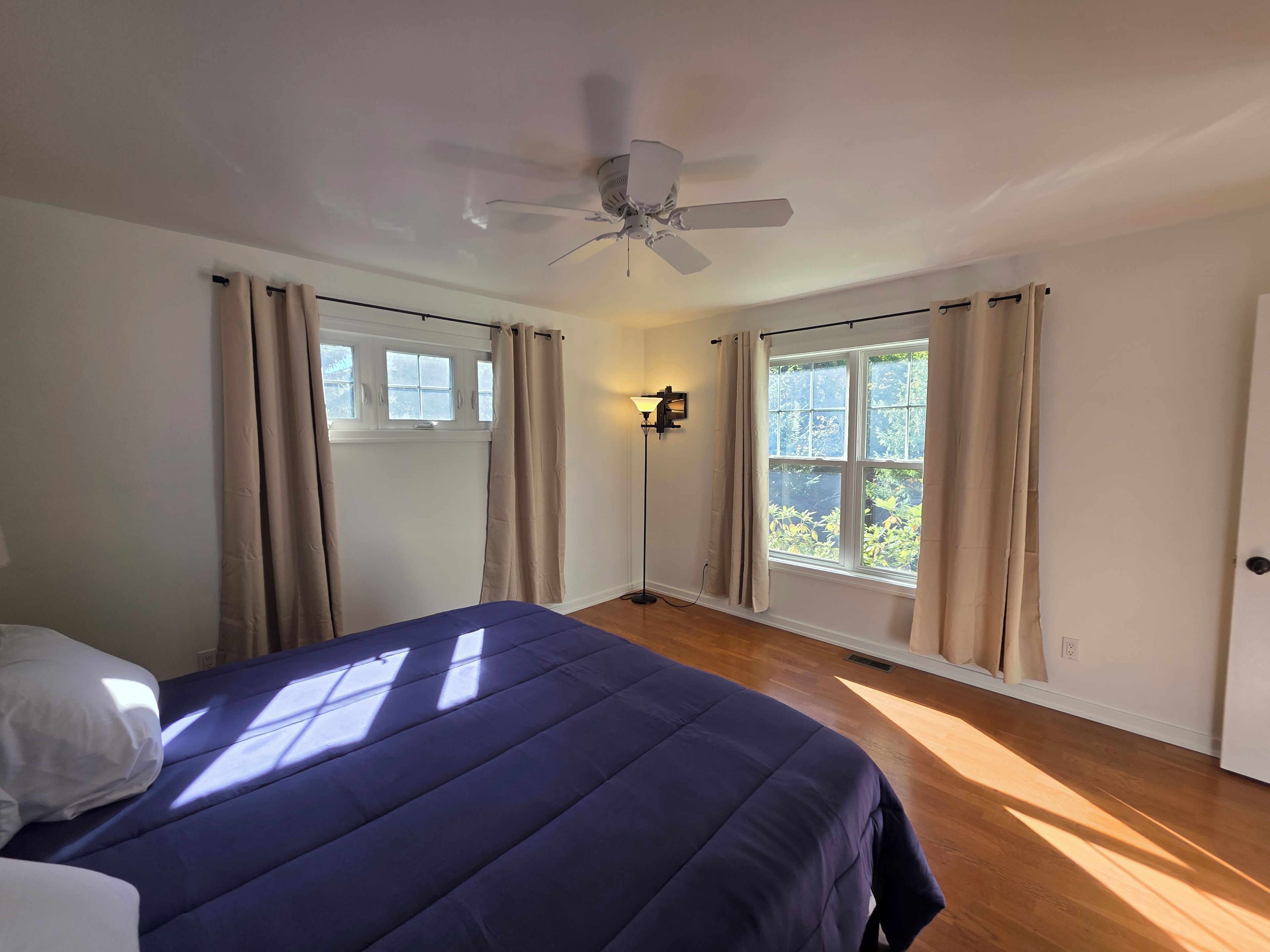 A bedroom with a bed, a ceiling fan, two windows with curtains, and a floor lamp.