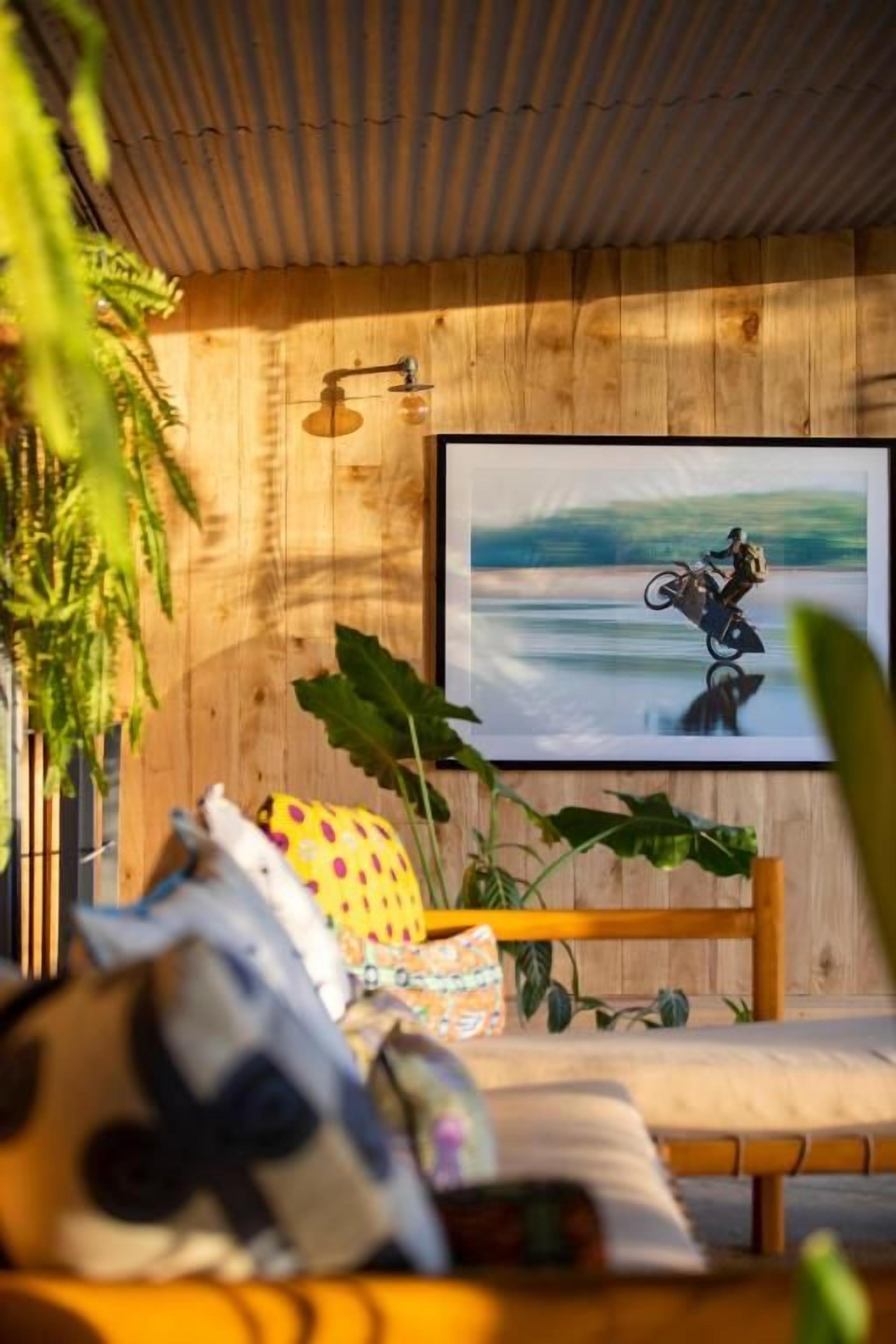 Una habitación con techo de madera, un cuadro enmarcado en la pared, un sofá con cojines y una planta en maceta.