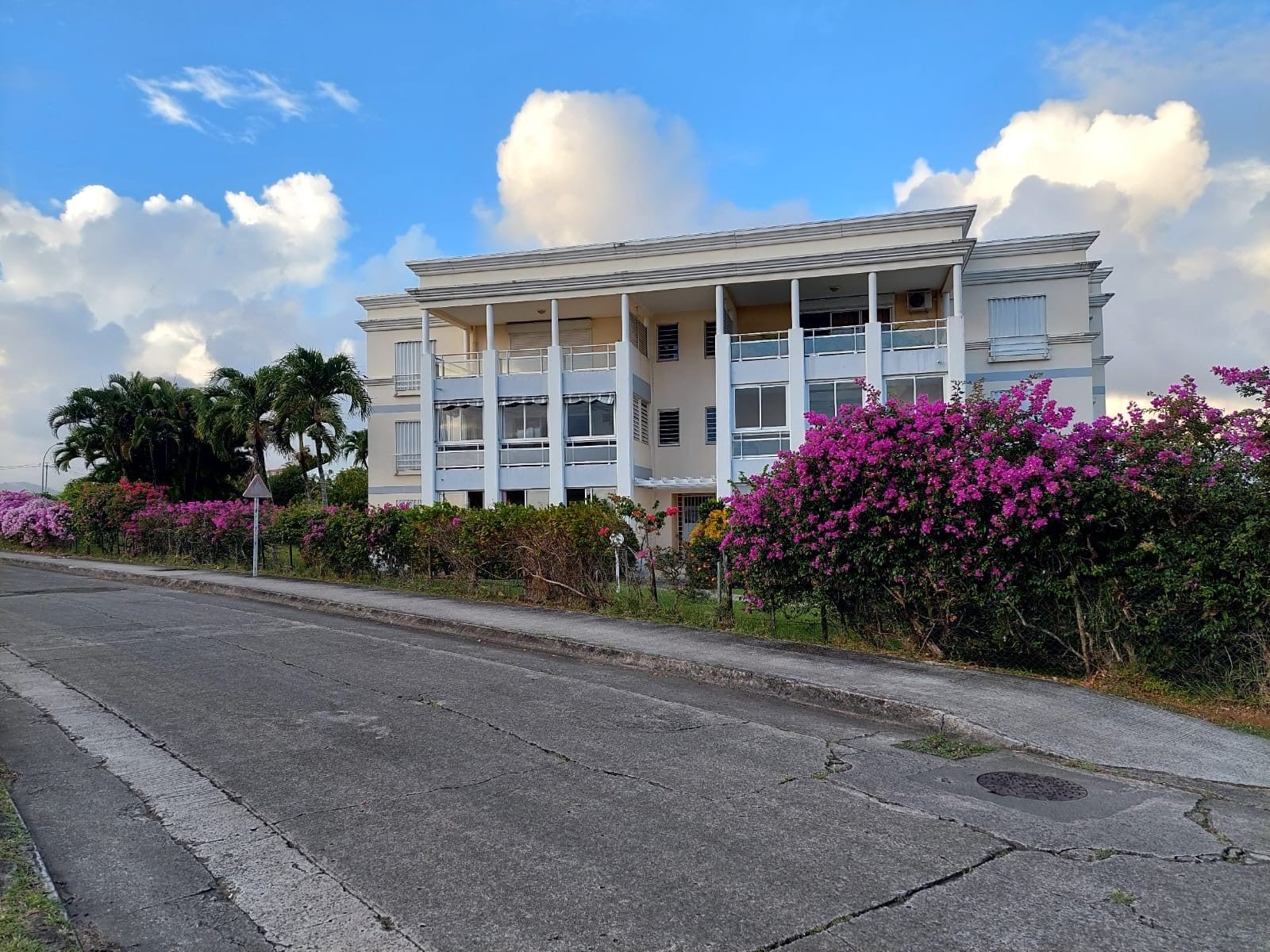 Un edificio de varios pisos con balcones, una calle pavimentada en frente y arbustos florecientes de color rosa.