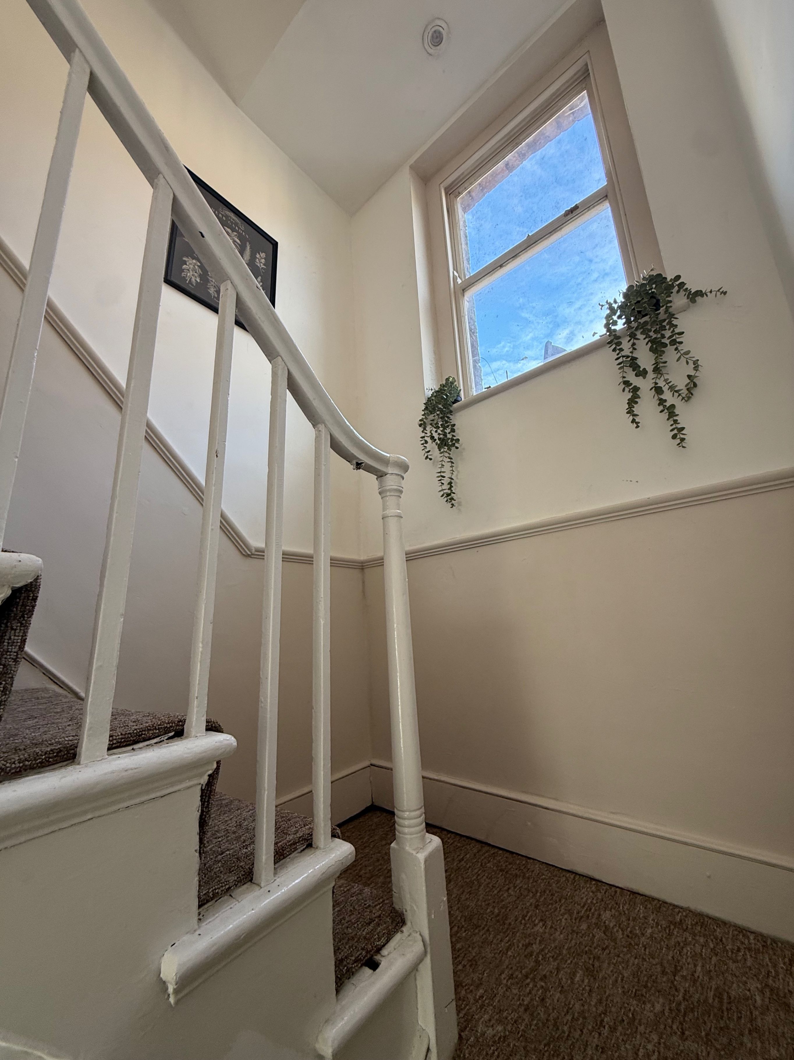 A staircase with white railings and a carpeted floor, leading to a room with a window and a hanging plant.