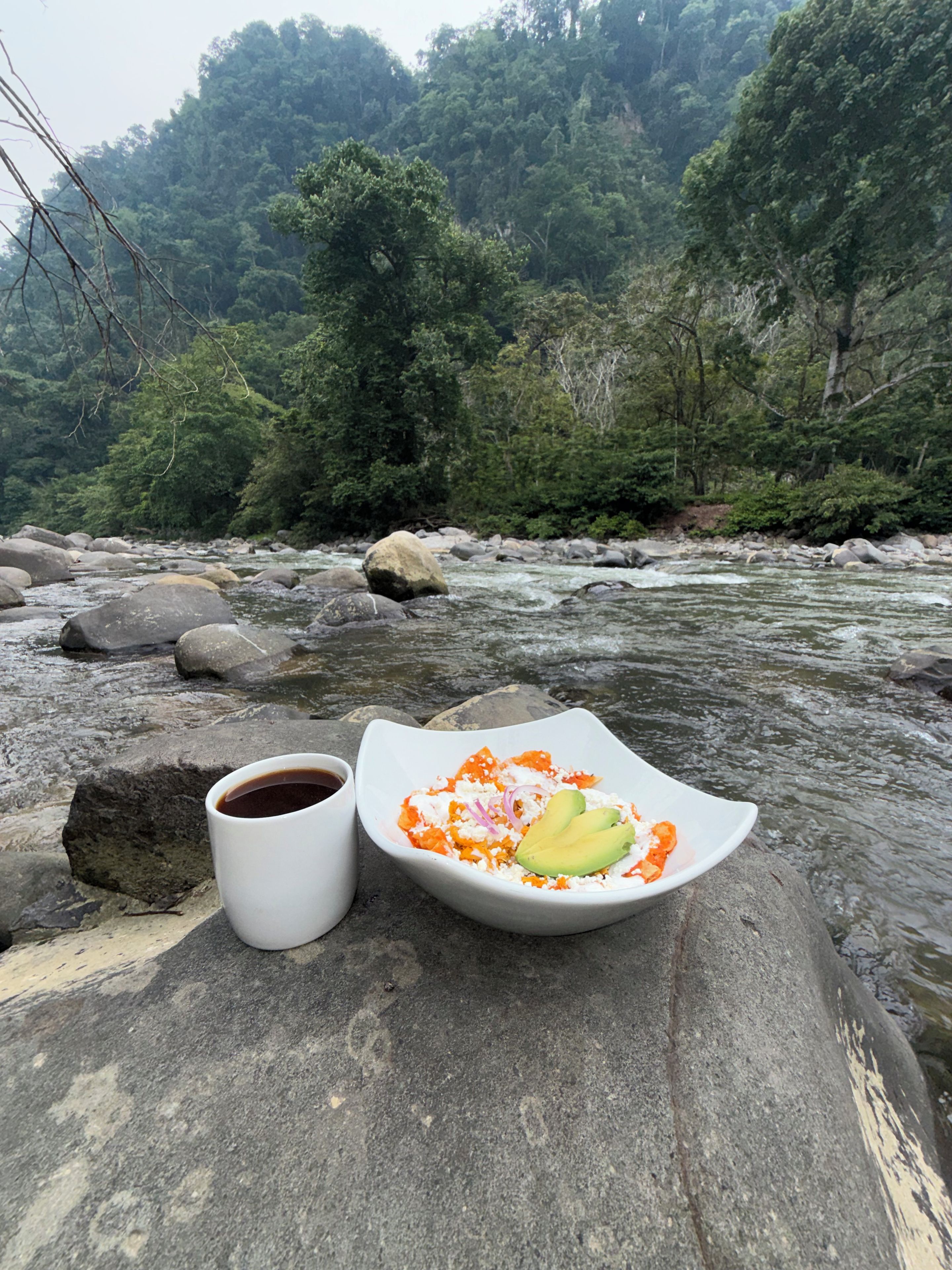 Un bol blanc contenant un avocat taillé en forme de cœur, posé sur un rocher au bord d’une rivière, avec une tasse de café à côté.