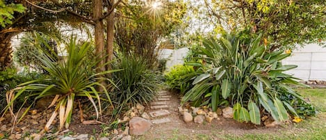 A garden pathway with tropical plants and a stone wall.