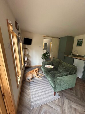 Sala de estar com um cão, sofá verde, pequena área de cozinha e piso de madeira.