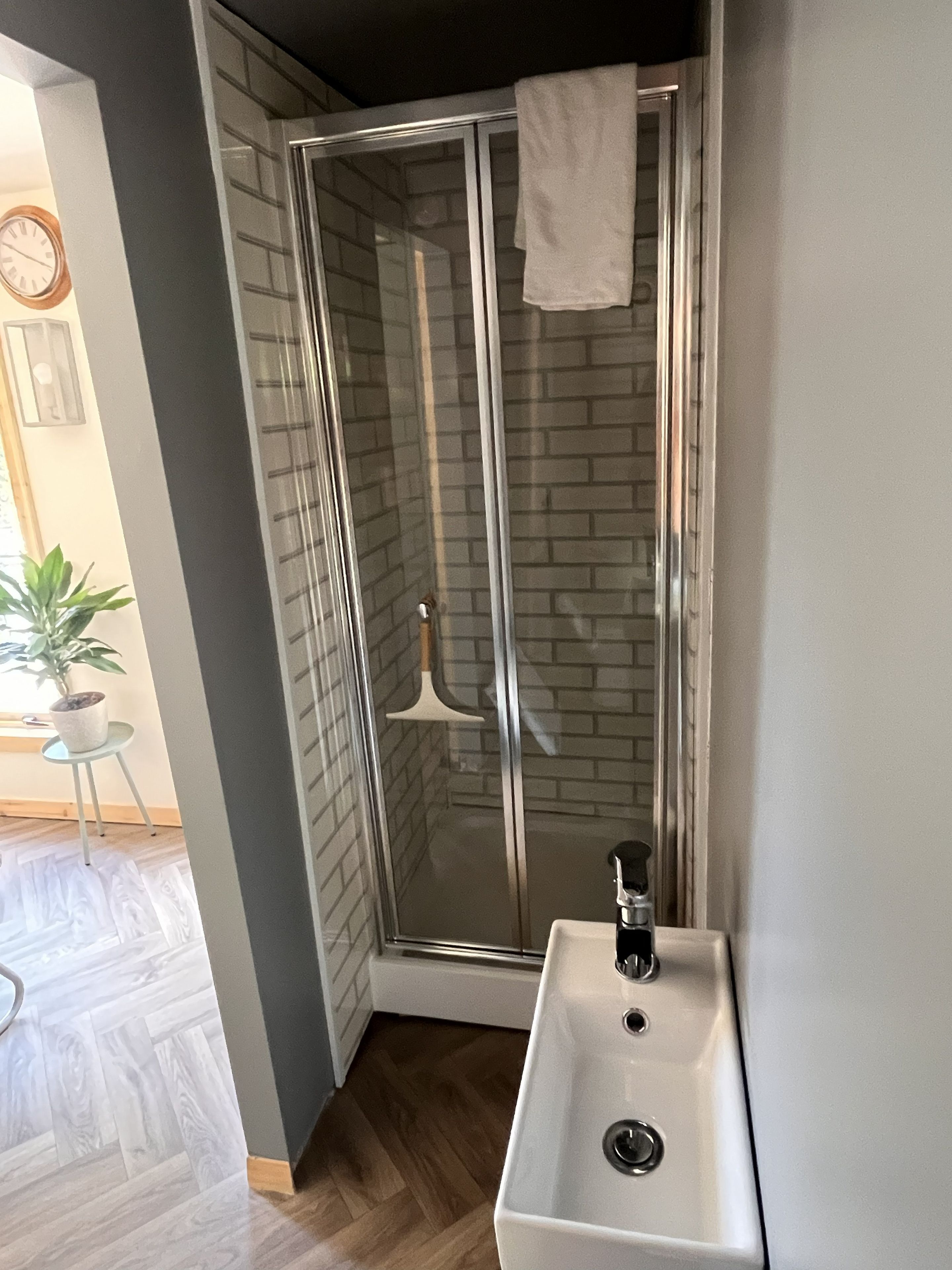 A modern bathroom with a glass shower enclosure, a white sink, and a potted plant.