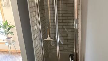 A modern bathroom with a glass shower enclosure, a white sink, and a potted plant.