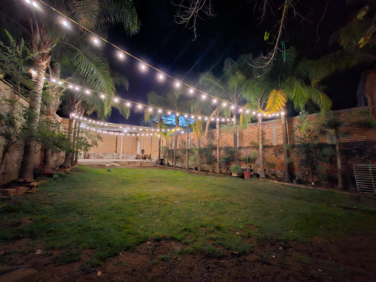 Un espacio exterior con pared de ladrillo, palmeras y luces colgantes.